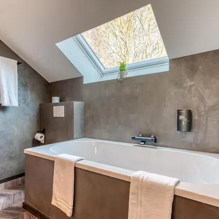 Hotell Les Du Vieux Chateau *